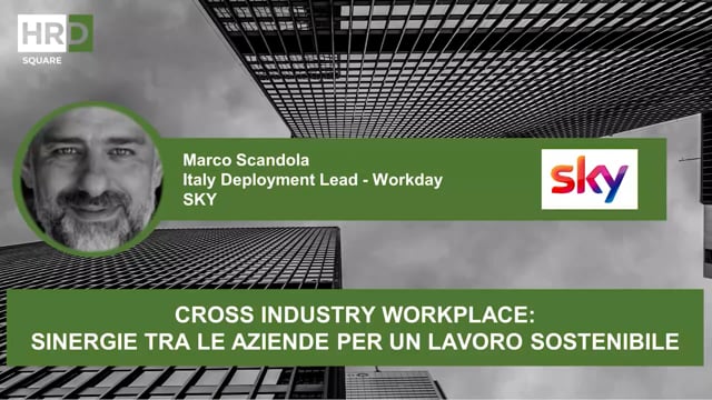 Cross industry workplace SKY